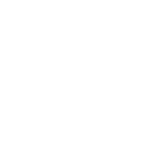 Synaptic Code